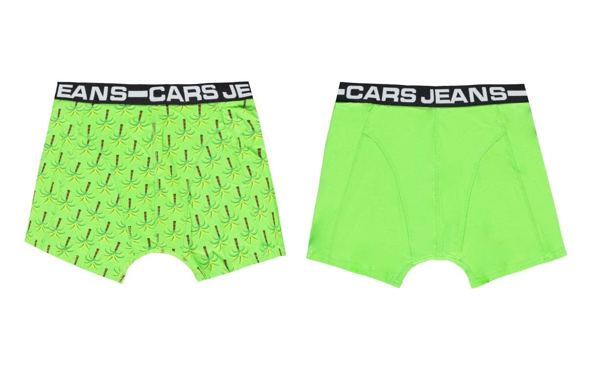 Fotoelektrisch Iedereen dans Cars Jeans - Boxer 2-pack - Tropic – Into Underwear