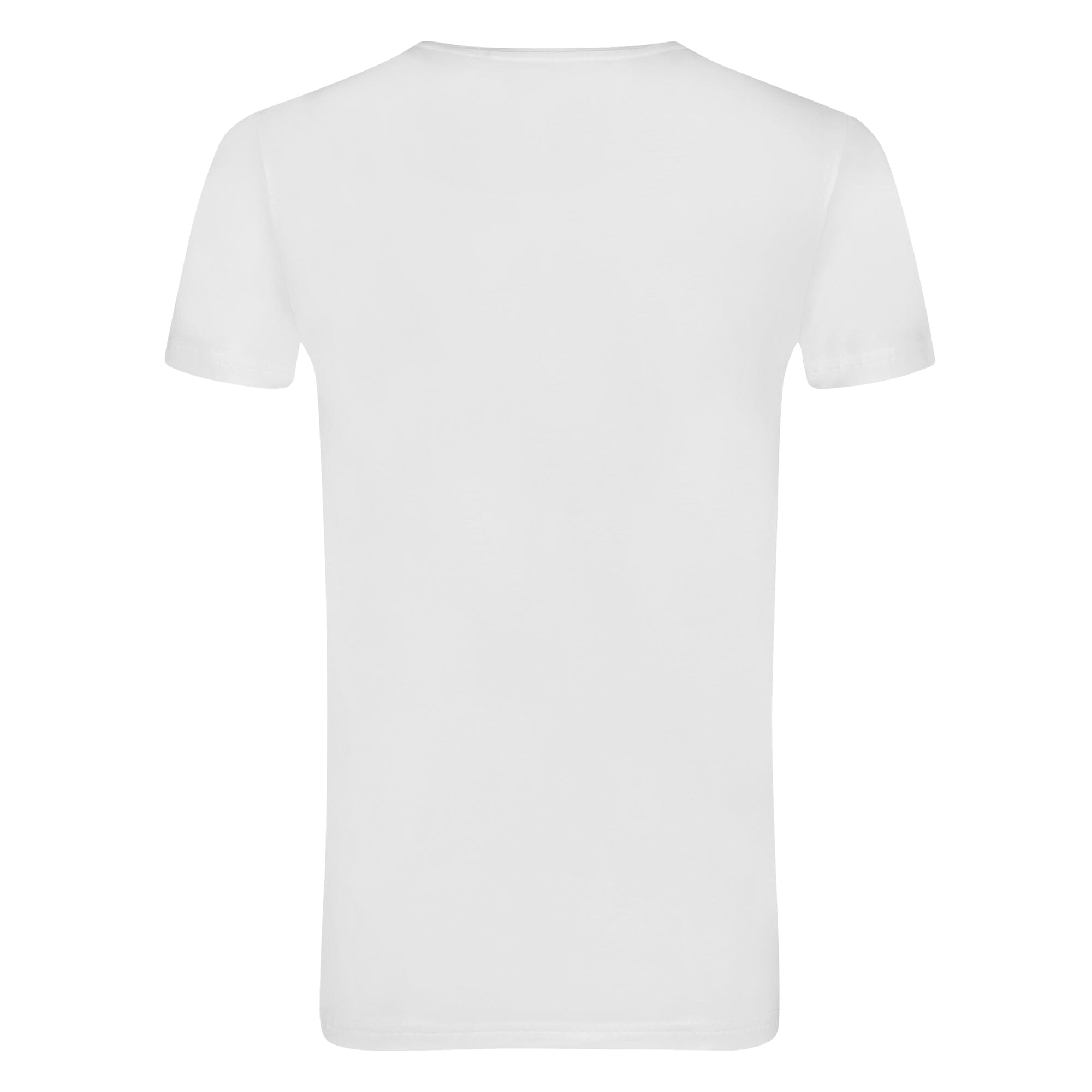 Ten Cate - 32326 - Basic Men T-Shirt 2-pack- White Shirt Ten Cate 